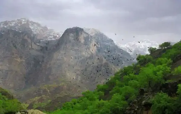 عکس های طبیعت لردگان