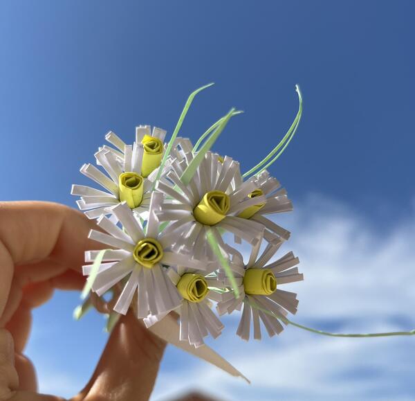 عکس گل بابونه فانتزی