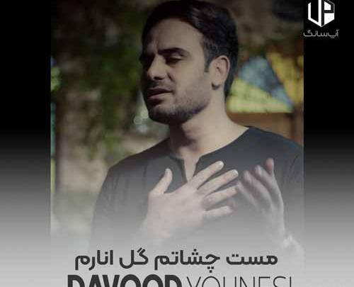 عکس چشاتم گل انارم