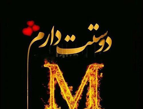 عکس گل عشق m