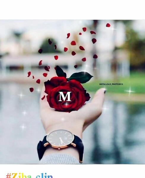 عکس گل عشق m