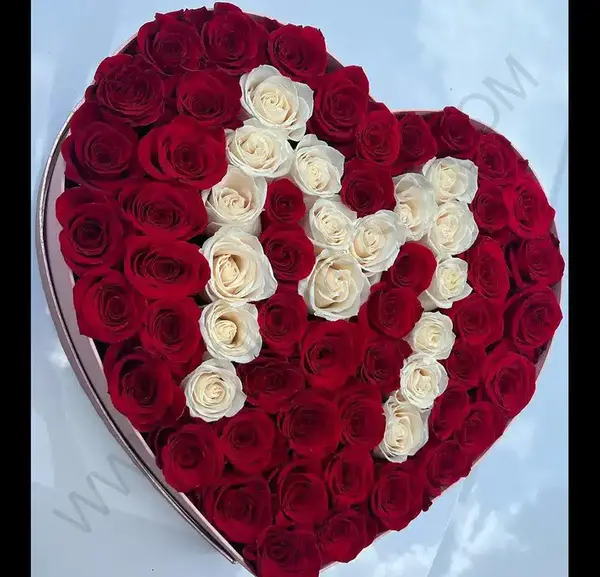 عکس گل عشق m