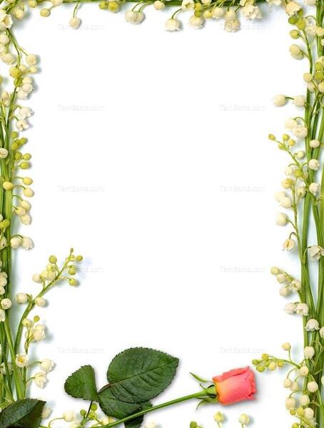 عکس گل حاشیه کاغذ