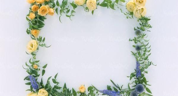 عکس گل حاشیه کاغذ