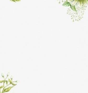 عکس گل حاشیه کاغذ