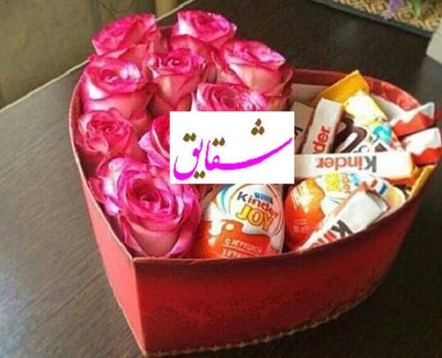 عکس تولد شقایق جان تولدت مبارک