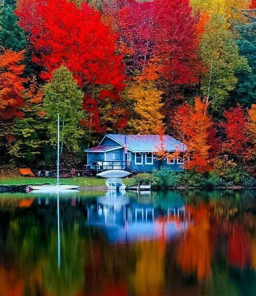 عاشقانه عکس طبیعت زیبا
