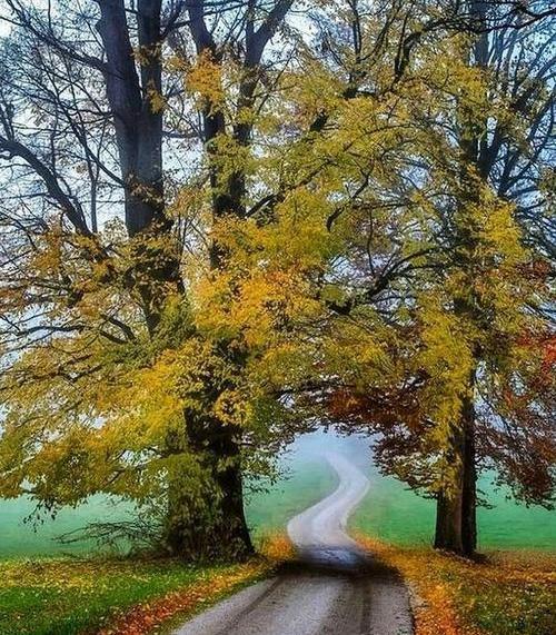 عاشقانه عکس طبیعت زیبا
