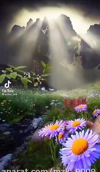 عاشقانه عکس طبیعت زیبا