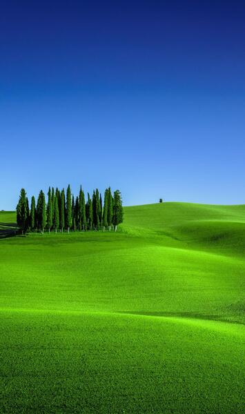 عکس طبیعت برای تصویر زمینه