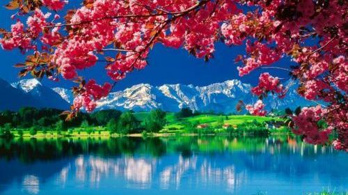 عکس طبیعت برای تصویر زمینه