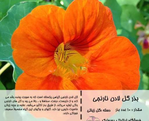 عکس های گل لادن