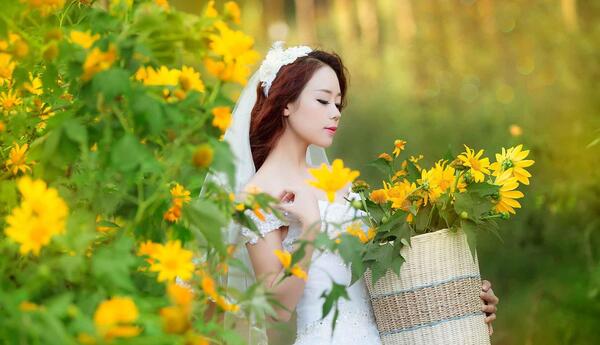 عکس گل های زرد بهاری