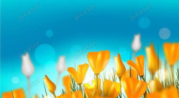 عکس گل های زرد بهاری