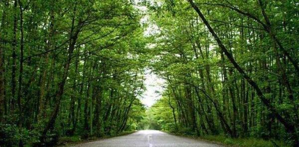عکس از طبیعت ایرانی