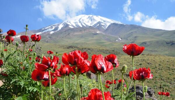 عکس از طبیعت ایرانی