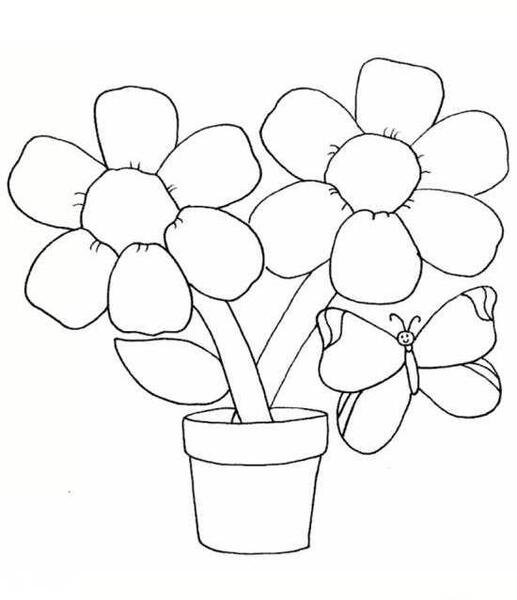 عکس گل نقاشی کوچک