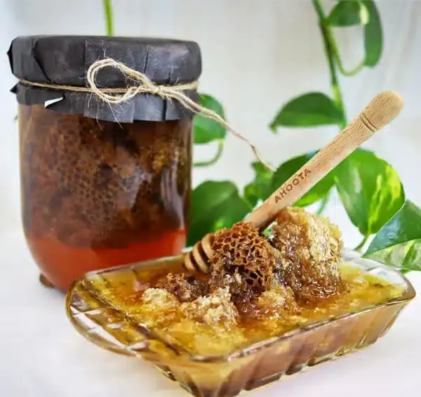 عکس عسل طبیعی وحشی