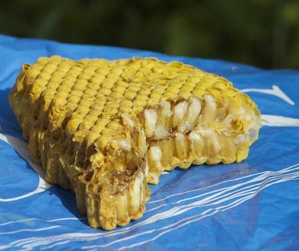 عکس عسل طبیعی وحشی