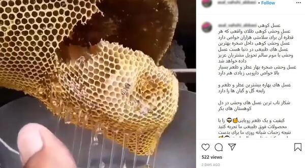 عکس عسل طبیعی وحشی