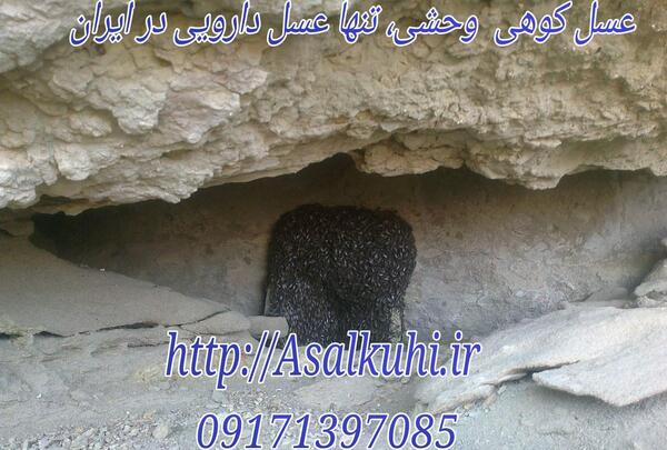 عکس عسل طبیعی وحشی