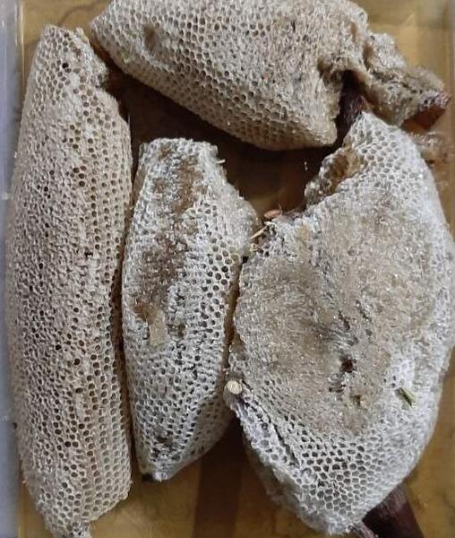 عکس عسل طبیعی وحشی
