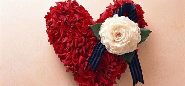 عکس گل قشنگ عاشقانه