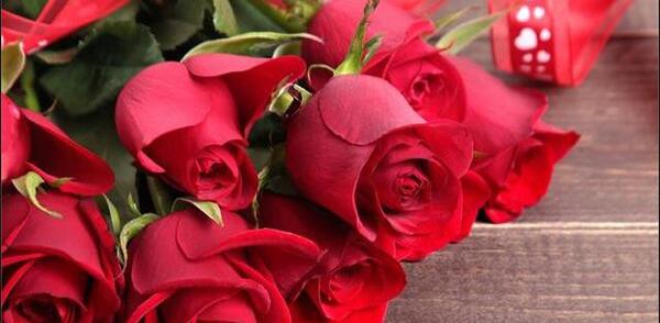 عکس گل قشنگ عاشقانه