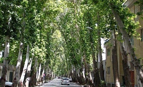 عکس آیت الله شمس آبادی