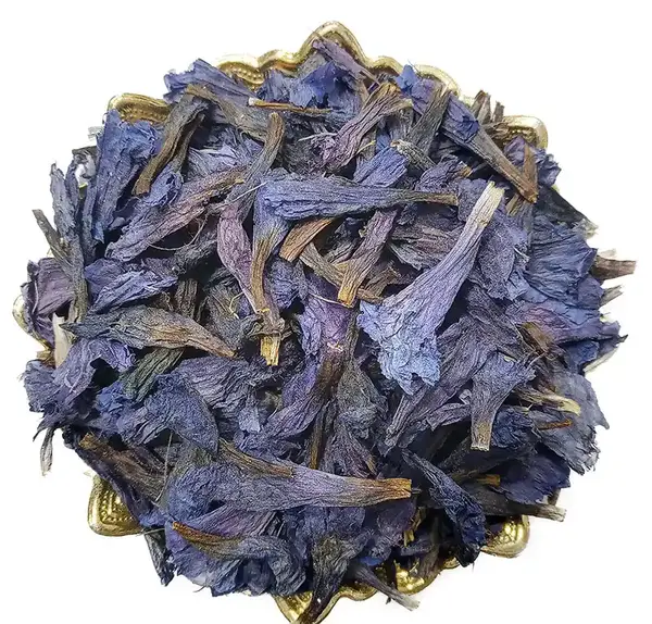 عکس گل گاوزبان خشک شده