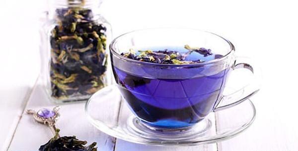 عکس گل گاوزبان خشک شده