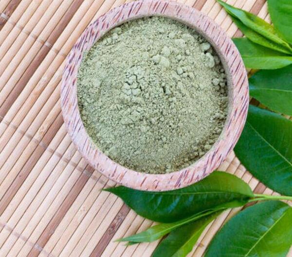 عکس گل گاوزبان خشک شده
