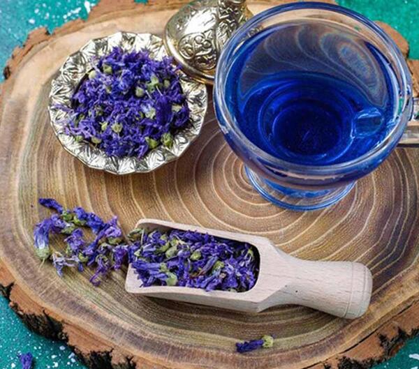 عکس گل گاوزبان خشک شده