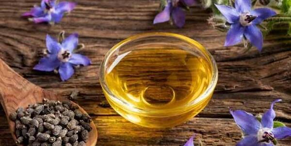 عکس گل گاوزبان خشک شده
