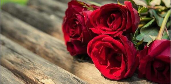 عکس گل خوشگل واسه پروفایل
