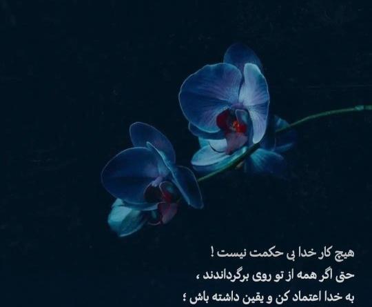 عکس نوشته هیچ کار خدا بی حکمت نیست