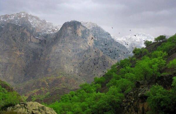 عکس هایی از طبیعت چهارمحال و بختیاری