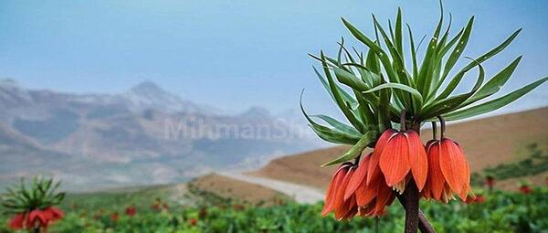 عکس هایی از طبیعت چهارمحال و بختیاری