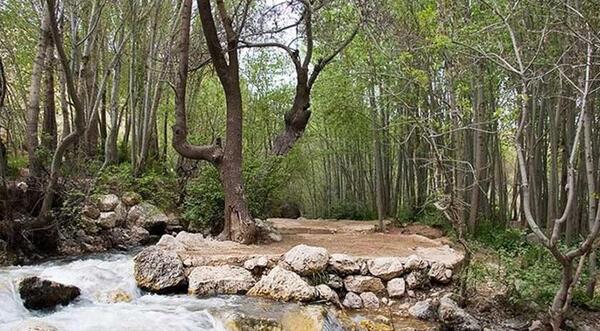 عکس هایی از طبیعت چهارمحال و بختیاری
