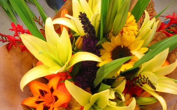 عکس از گل های طبیعت