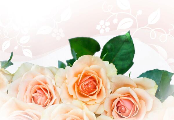 عکس گل متحرک برای پاورپوینت