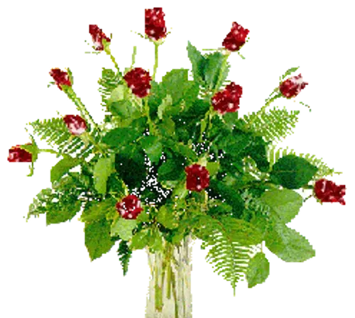 عکس گل متحرک برای پاورپوینت