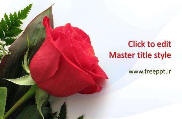 عکس گل متحرک برای پاورپوینت