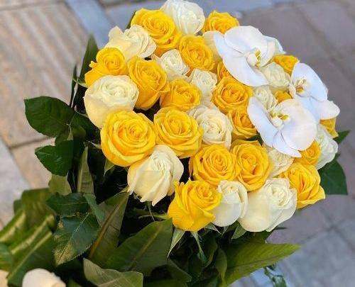 عکس گل زرد و سفید