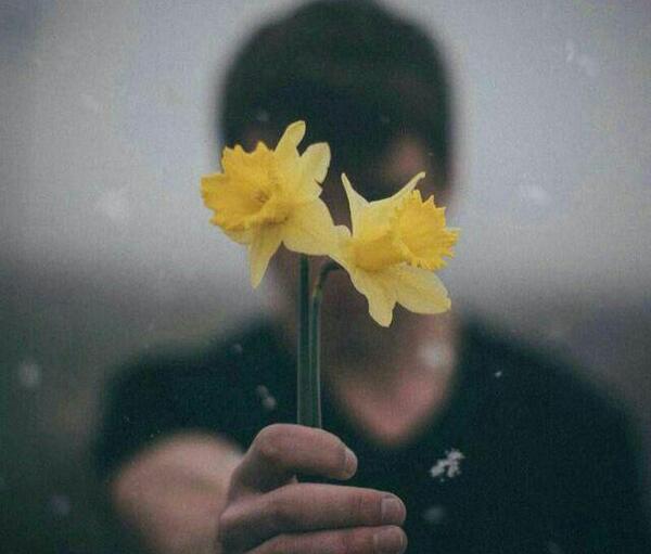 عکس گل زرد برای پروفایل