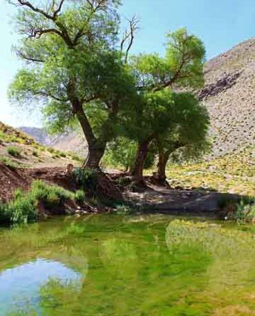 عکس از طبیعت زیبای کرمان