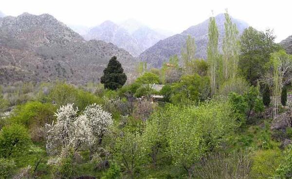 عکس از طبیعت زیبای کرمان