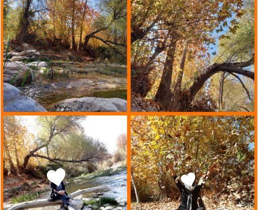 عکس از طبیعت زیبای کرمان