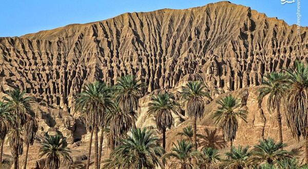 عکس از طبیعت زیبای کرمان