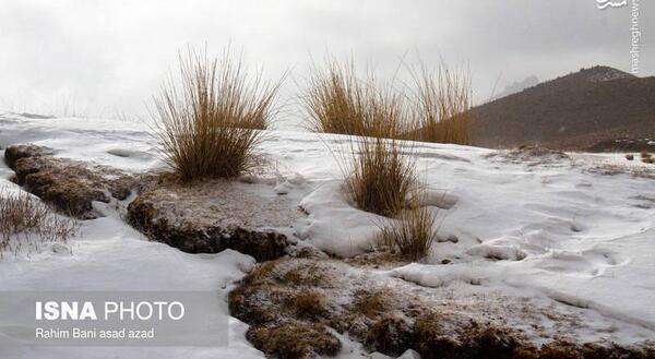 عکس از طبیعت زیبای کرمان